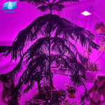 پروژکتور رشد گیاه فول اسپکتروم - Image 2